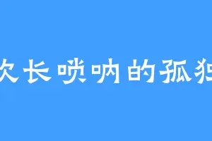 喜欢长唢呐的孤独缺