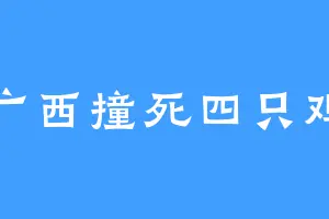 广西撞死四只鸡