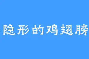 不隐形的鸡翅膀子
