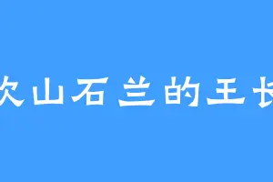 喜欢山石兰的王长远