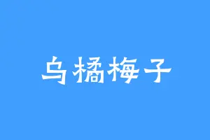 乌橘梅子