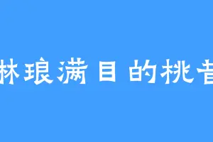 琳琅满目的桃昔