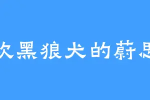 喜欢黑狼犬的蔚思青