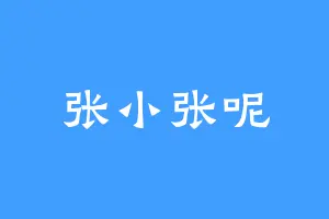 张小张呢