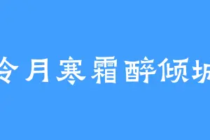 冷月寒霜醉倾城