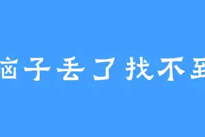 脑子丢了找不到