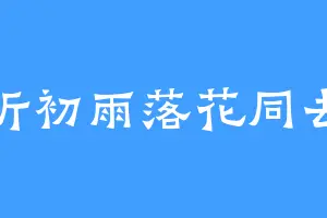 听初雨落花同去