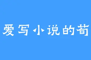 爱写小说的荀
