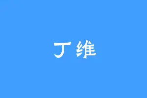 丁维