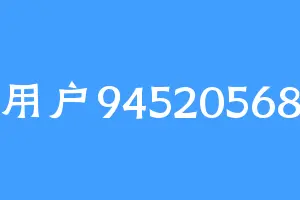 用户94520568