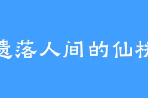 遗落人间的仙桃