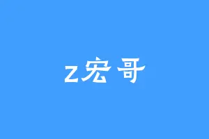 z宏哥