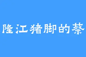 爱吃隆江猪脚的蔡六爷