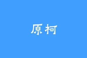 原柯