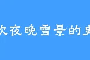 喜欢夜晚雪景的史阿