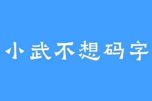 小武不想码字