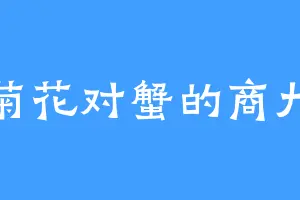 菊花对蟹的商九