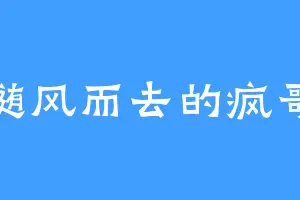 随风而去的疯哥