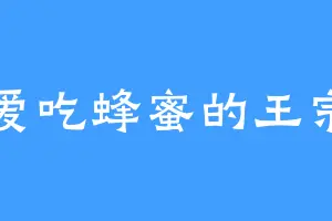 爱吃蜂蜜的王宗