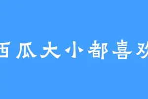 西瓜大小都喜欢