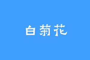 白菊花