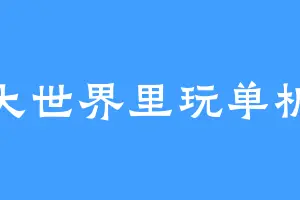 大世界里玩单机