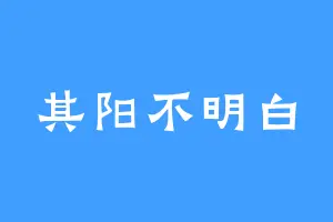 其阳不明白