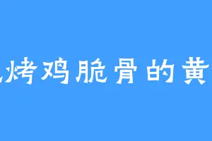 爱吃烤鸡脆骨的黄思思