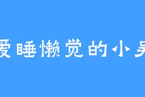 爱睡懒觉的小吴