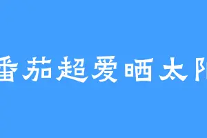 番茄超爱晒太阳