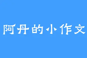 阿丹的小作文