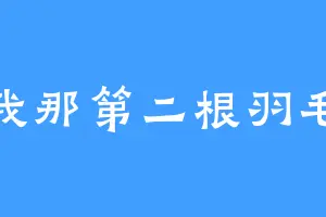我那第二根羽毛