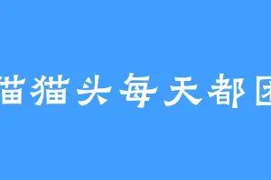 猫猫头每天都困