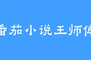 番茄小说王师傅