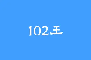 102王