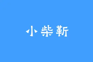 小柴靳