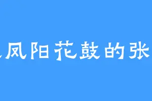 喜欢凤阳花鼓的张扬子