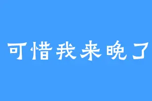 可惜我来晚了