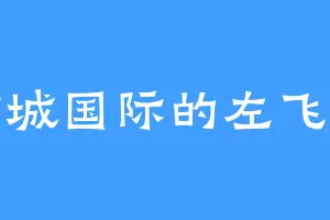 沪城国际的左飞卿