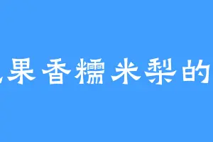 爱吃果香糯米梨的璃雪