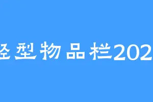 轻型物品栏2025