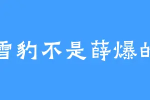 是雪豹不是薛爆的豹
