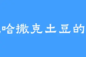 爱吃哈撒克土豆的东丈