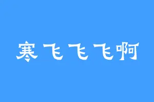寒飞飞飞啊