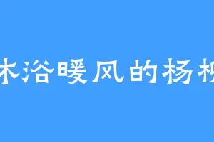 沐浴暖风的杨柳