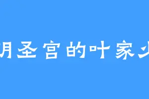 光明圣宫的叶家少主