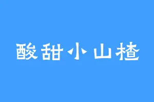 酸甜小山楂