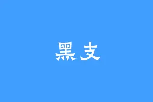 黑支