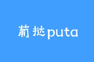 葡挞puta