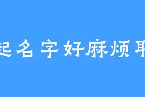 起名字好麻烦耶